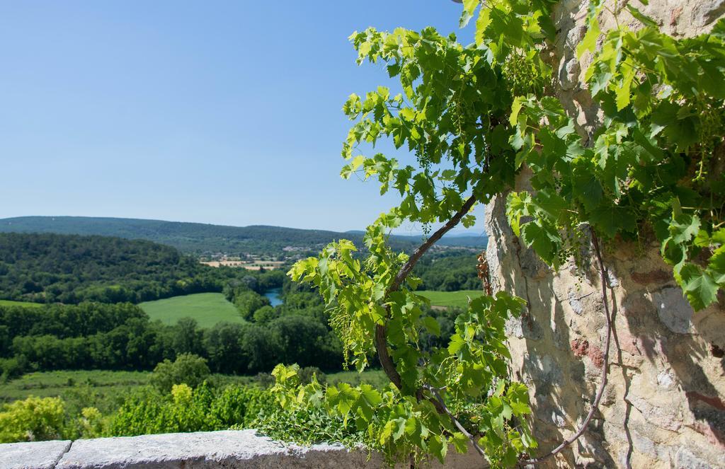 Вілла Domaine De Gressac Verfeuil Екстер'єр фото